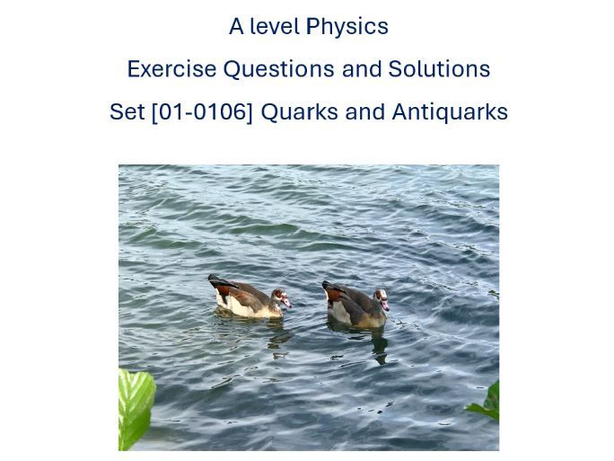A Level Physics Exercises [01-0106] Quarks and Antiquarks