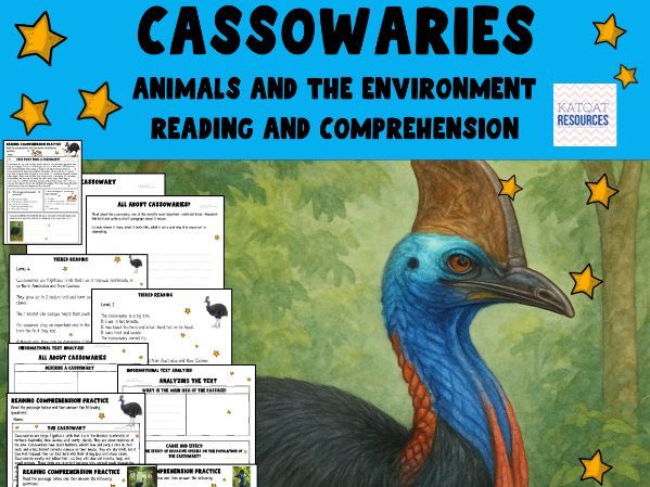 The Cassowary - Animals and the Environment - Reading Comprehension and writing