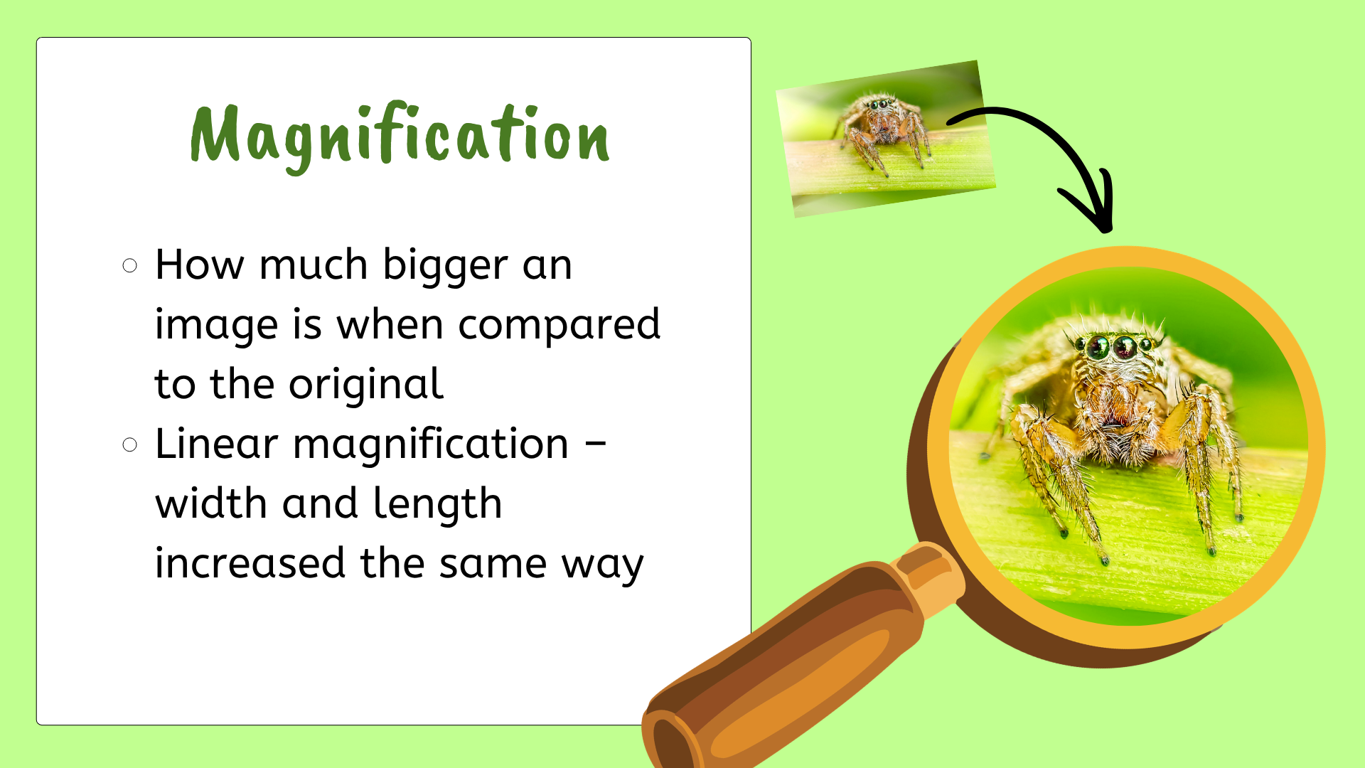 Science Microscope Magnification Questions AQA GCSE Biology: Microscopes Lesson | Magnification, Resolution ...