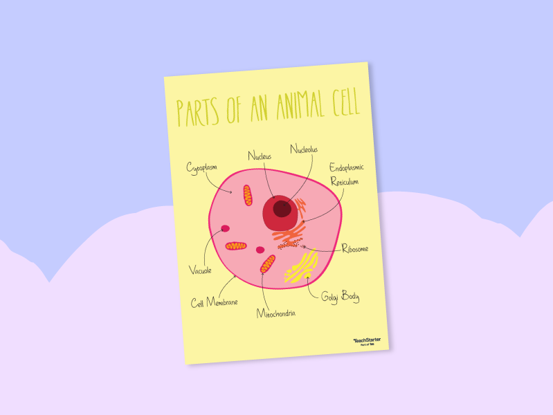 Parts of an animal cell poster