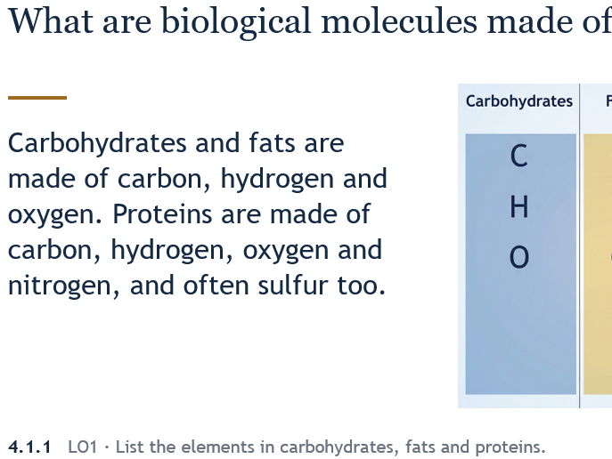 IGCSE Biology – Enzymes PPT