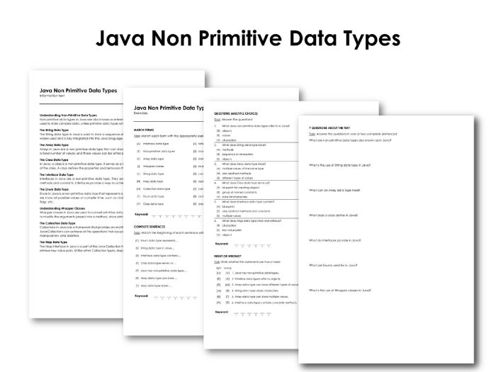 Java Non Primitive Data Types