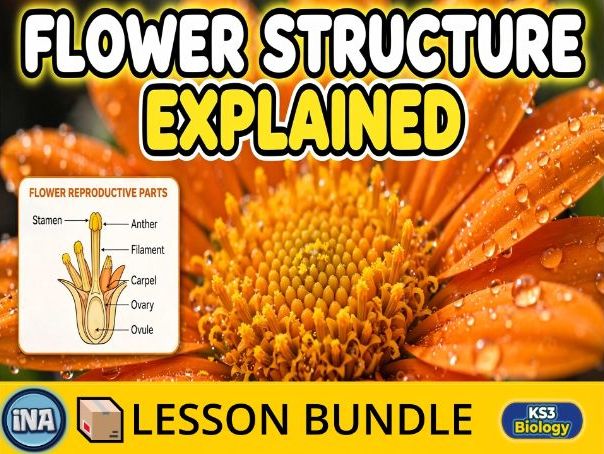 Flower Structure - Complete KS3 Biology Lesson Pack