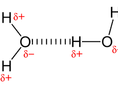 OCR  Hydrogen Bonding and water properties