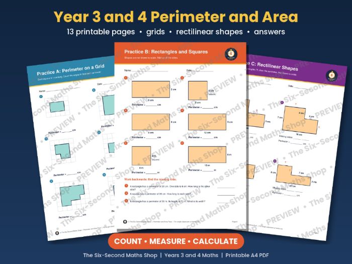 Year 3 and 4 Perimeter and Area Worksheets