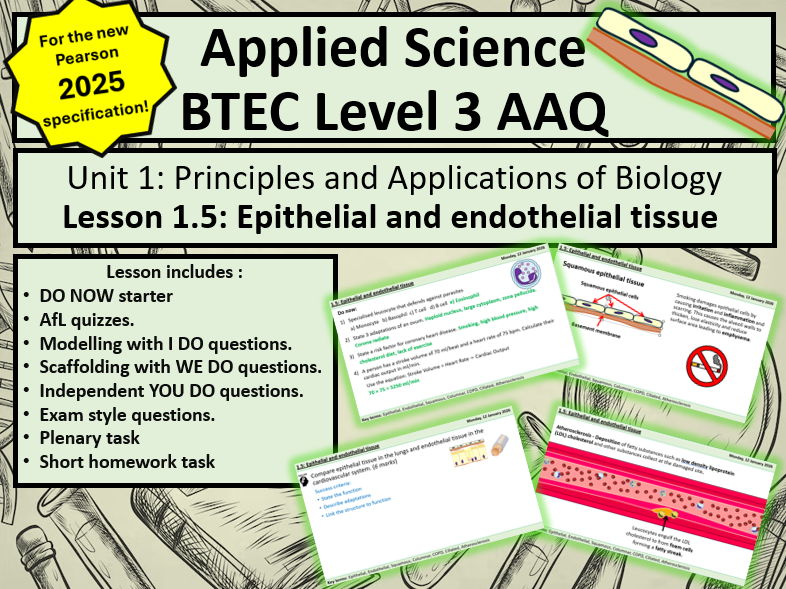 BTEC App Sci Level 3: Biology - 1.5 Epithelial and Endothelial Tissue