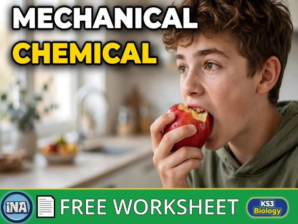 Mechanical and Chemical Digestion - FREE KS3 Biology Worksheet