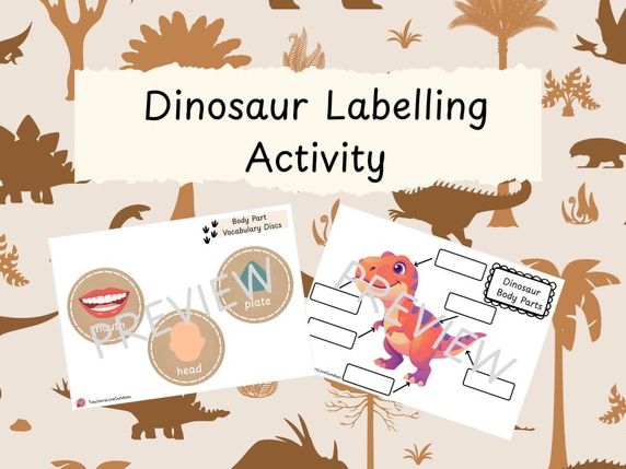 Dinosaur Labelling Activity