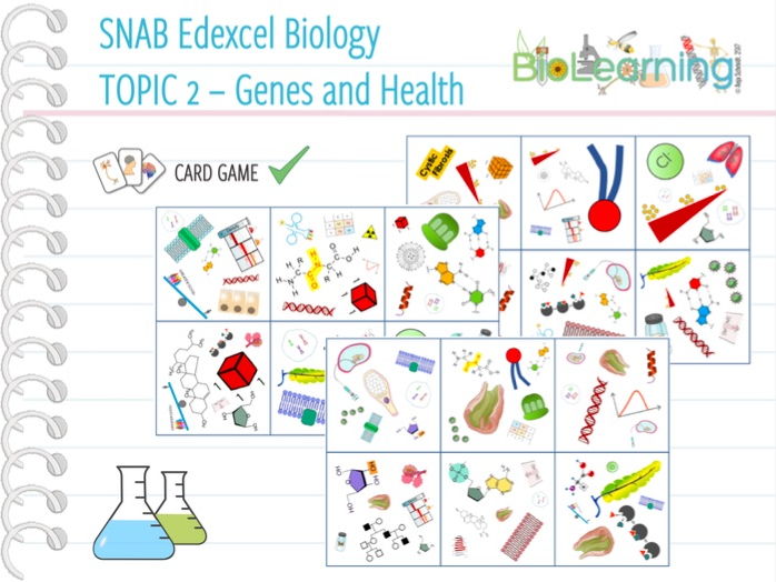 SNAB Biology Topic 2 - Card Game | Teaching Resources