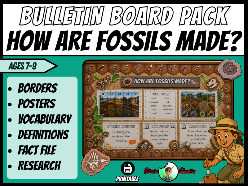 How Are Fossils Made? | Bulletin Board Pack | Year 3 and 4