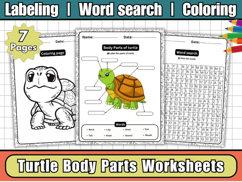 Turtle Body Parts | Labeling Diagram | Word Search | Coloring,Worksheets-EYFS–KS2 Animal Science