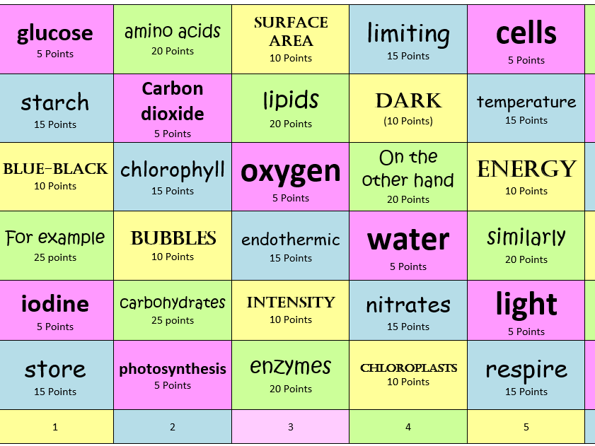 Photosynthesis consolidation or revision activity  - Foundation