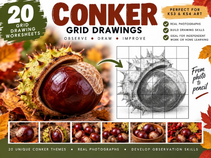 Conkers Grid Drawing Worksheets | 20 Autumn Art Activities | KS3 & KS4 Drawing Skills