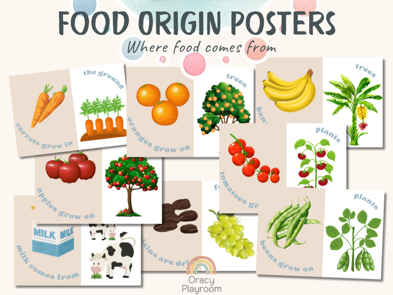 Food origin posters