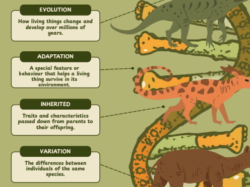 Evolution and Inheritance: Key words & Definitions