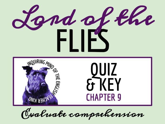 Lord of the Flies Chapter 9 Quiz and Answer Key | Guided Reading Worksheet