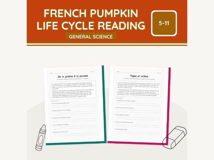 French Pumpkin Life Cycle Reading | 10 pp