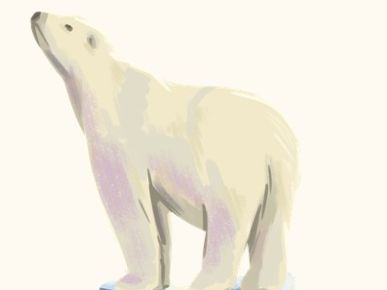 5 Steps to Fluency The Last Bear Hannah Gold