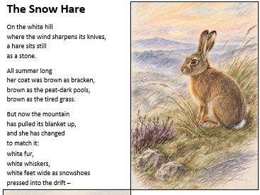 Year 6 Reading Stamina: Full Year Bundle | 84 Texts + SATs-Style Questions (Autumn to Summer)