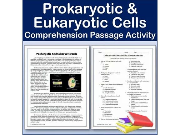 Prokaryotic And Eukaryotic Cells - Science Comprehension Passage & Activity