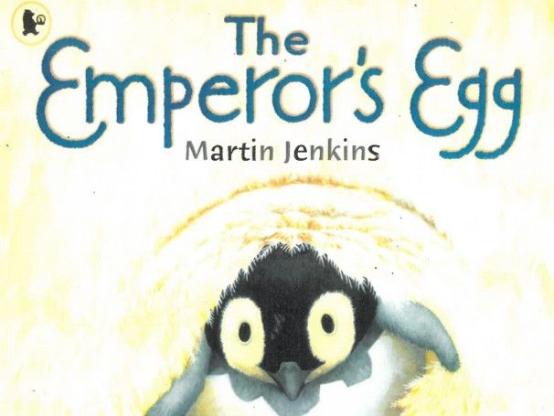 The Emperors Eggs Unit - Year 2