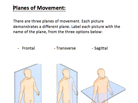 Planes of Movement and Axis of Rotation