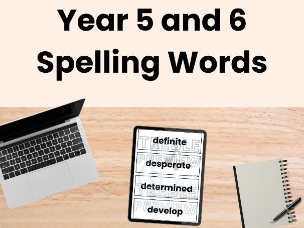 Year 5 and 6 Spelling Word Cards