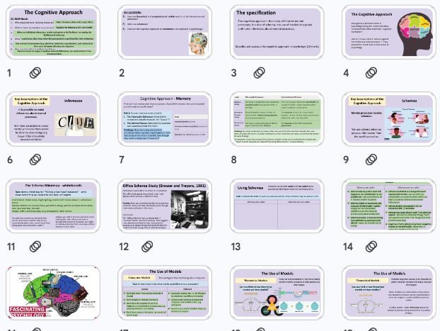 The Cognitive Approach - Approaches NEW AQA 2025 Specification