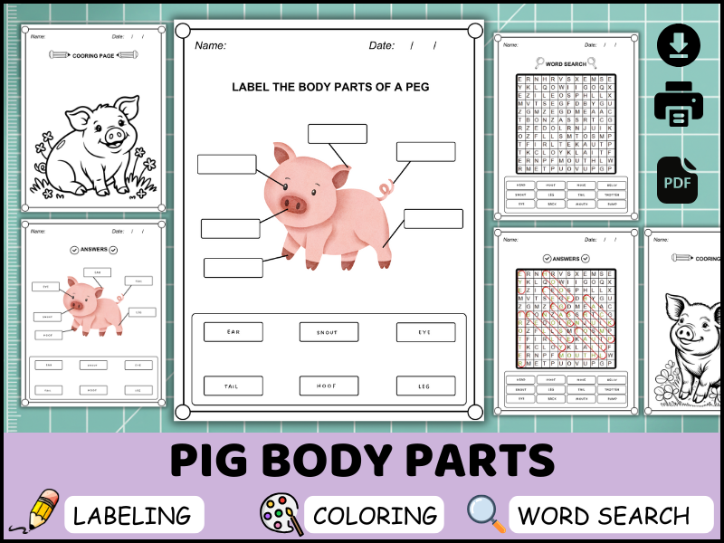Pig Body Parts Worksheet, Labeling Activity, Coloring Page, Word Search Printable (PDF)
