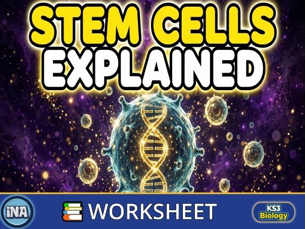 Stem Cells in Animals - KS3 Biology Worksheet