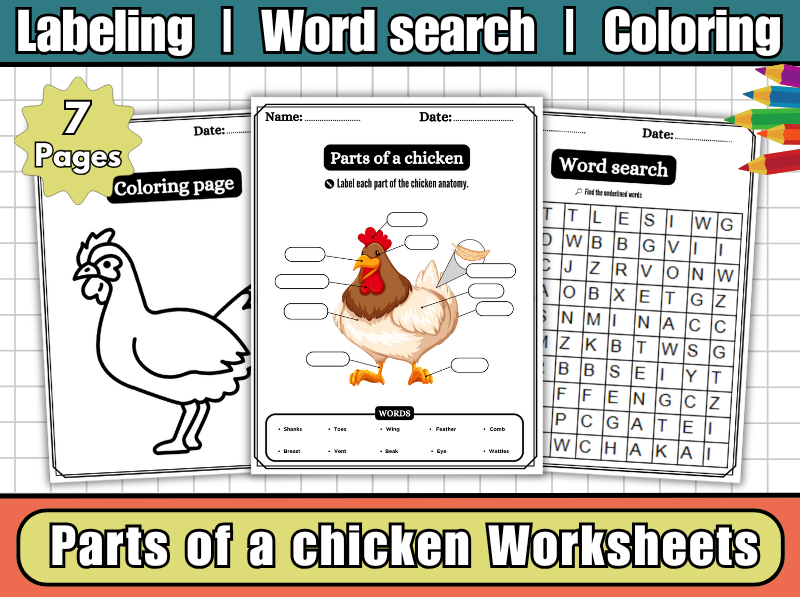 Parts of a Chicken-Chicken Anatomy,Labeling Worksheets,Coloring,Word Search & Science Activities
