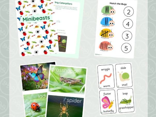 Play Pack: Minibeasts