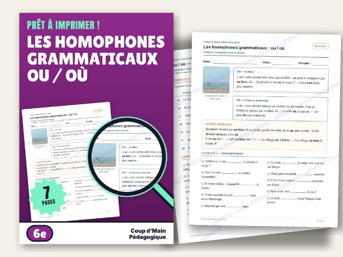 French Homophones ou / où Worksheet Grade 6 Grammar | Les homophones ou / où