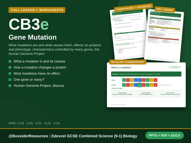 CB3e Gene Mutation | Edexcel GCSE Combined Science (9-1) | Lesson + Worksheet