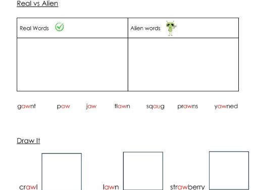 Phonics - aw sound worksheets - Resource bundle