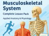 AQA A-Level PE | Musculoskeletal System | Complete Lesson Pack | Applied Anatomy & Physiology 3.1.1.