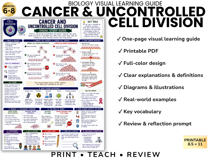 CANCER & UNCONTROLLED CELL DIVISION | Biology Visual Learning Guide | Grade 8 & Middle School Scienc