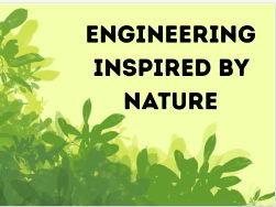 Engineering Inspired by Nature