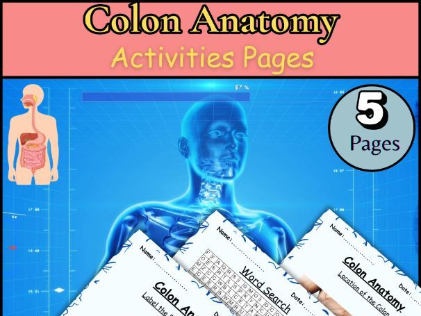 Colon anatomy/Word search/Label /Coloring page/Biology worksheet