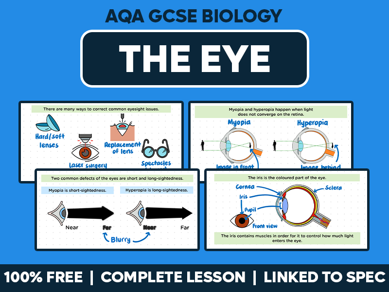 GCSE AQA Biology Complete Lesson - The Eye