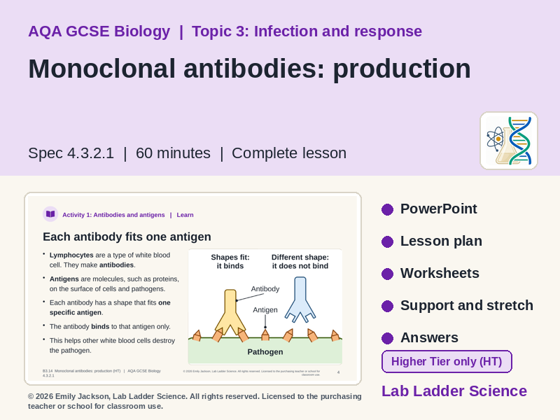 B3-14 Monoclonal Antibodies: AQA GCSE