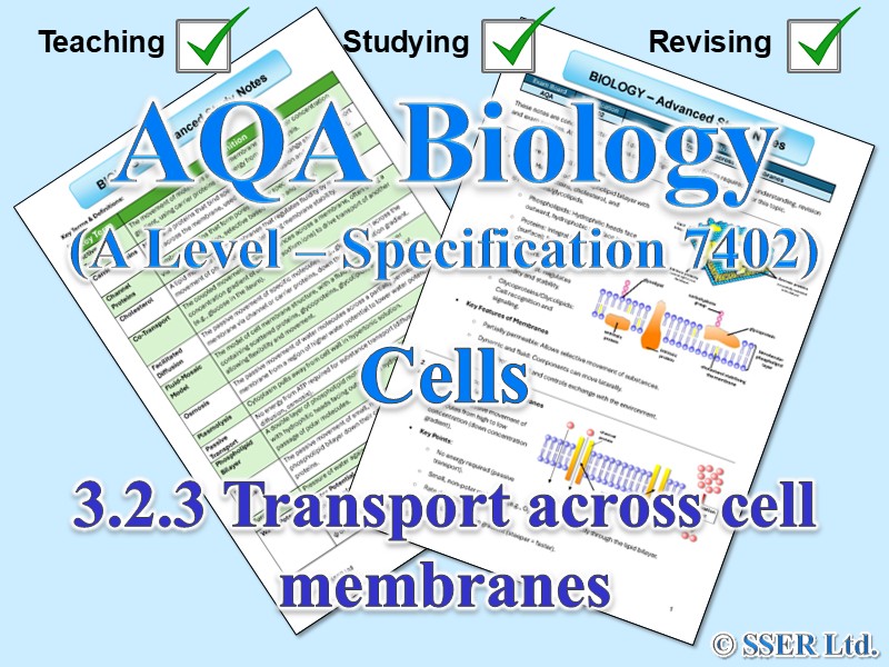 BIOA_AQA Topic Notes: 3.2.3 Transport across cell membranes