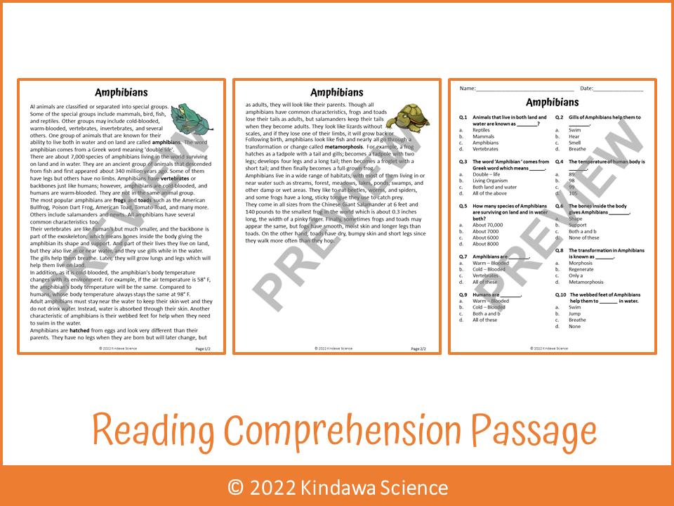 Amphibians Reading Comprehension Passage and Questions PDF Teaching