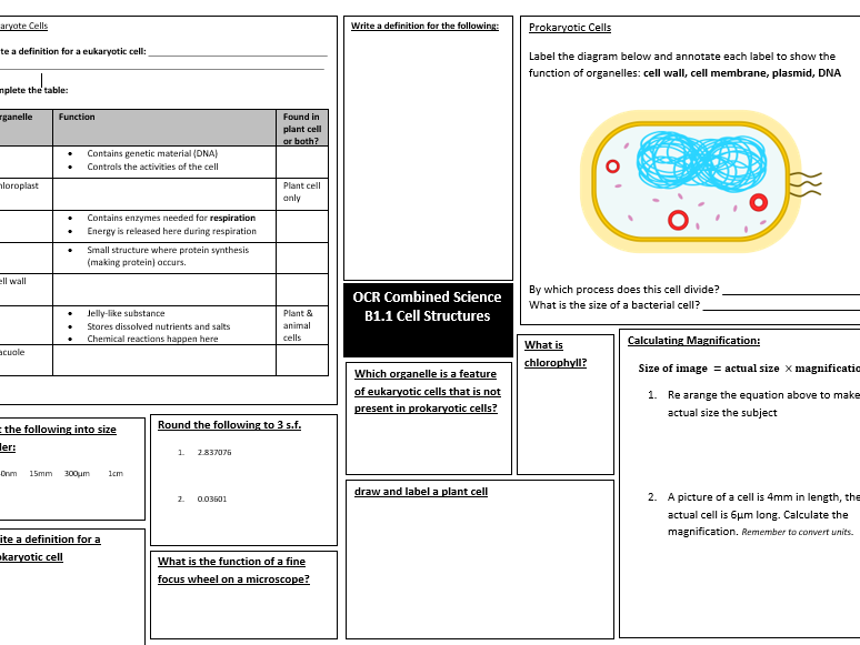 OCR Combined Science Biology B1.1 Cell Structures revision mat