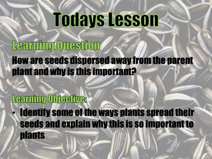 Spreading Seeds Teaching Resources