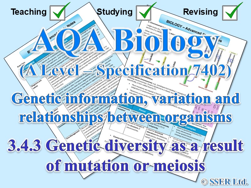 BIOA_AQA Topic Notes: 3.4.3 Genetic diversity can arise as a result of mutation or during meiosis