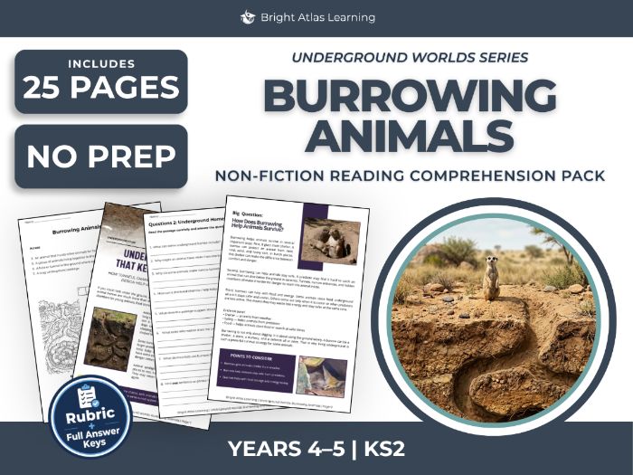 Burrowing Animals Reading Comprehension | KS2 Years 4 & 5