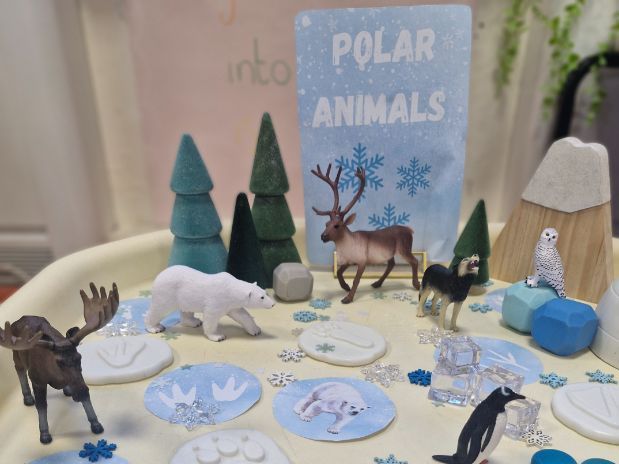 Polar animals cards