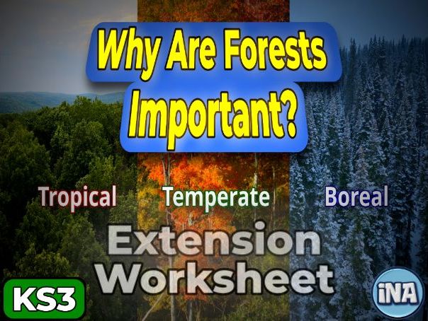 The Forests of the World - Extension Pack (KS3 Geography)