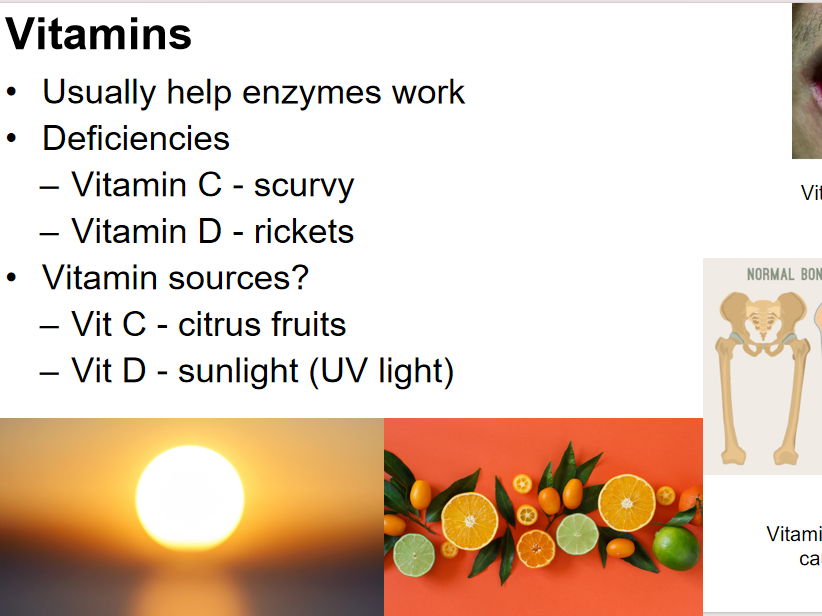 Diet and Digestion - IGCSE Biology Edexcel